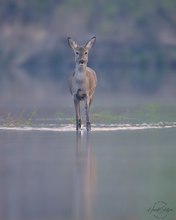 Blick übers Wasser