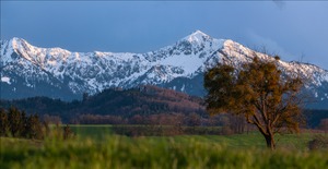 Unten grün und Oben weiß