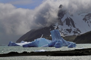 Bröselnde Eisberge in der Fortuna Bay