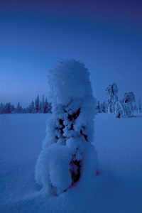 Schneemännchen