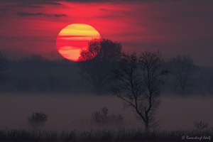 Sonnenaufgang im Nationalpark - Hansag - Seewinkel