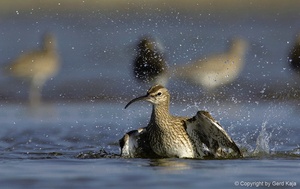 ... und Samstag ist Badetag!