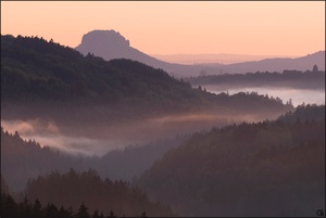 Nebel zieht auf