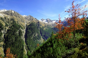 Es wird Herbst in der Steiermark!