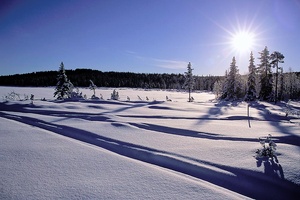 Winterimpression im Lappland