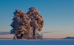 Lappland 2009