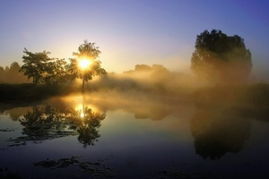 Nebel am See