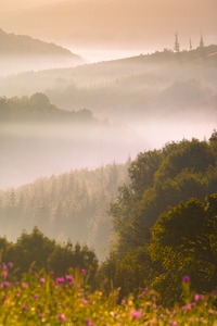 Herbstmorgen im Wienerwalad