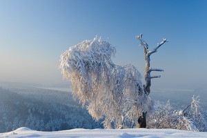 Schneezauber...