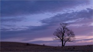 Morgenstimmung auf dem Sandberg