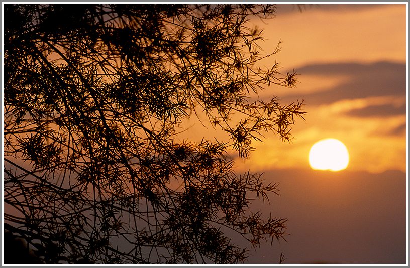 Sonnenuntergang im NSG Ruhraue Mülheim