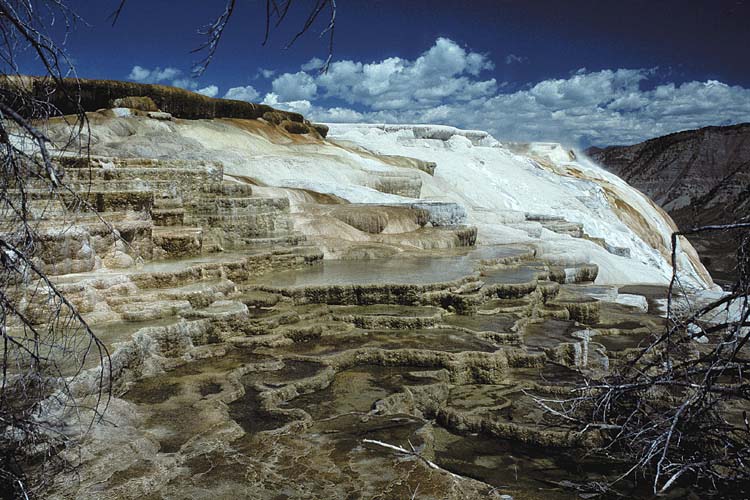 Mammoth Hot Springs ND