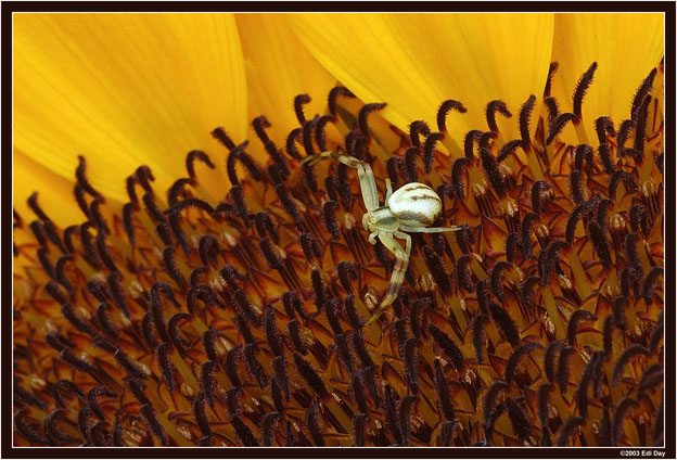höchstens 3mm