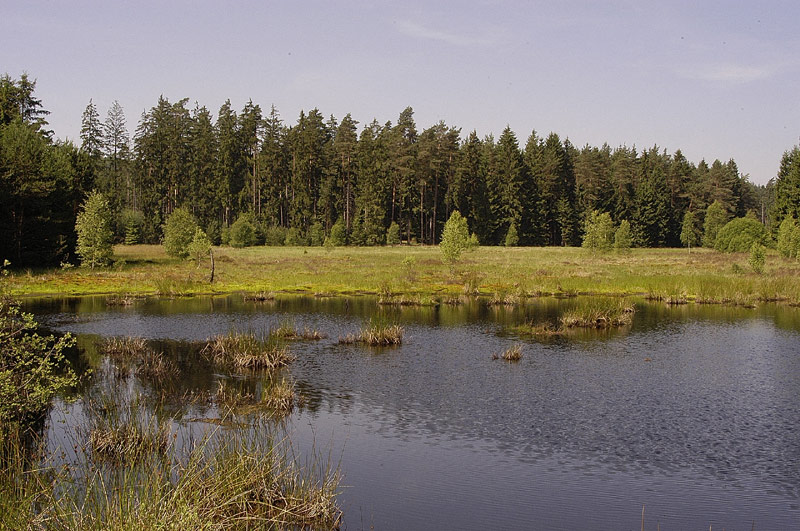 Burgwald (Forum für Naturfotografen)