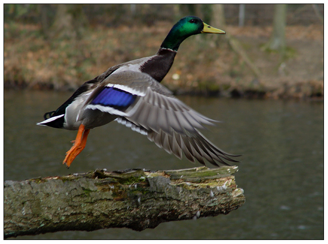 Abflug