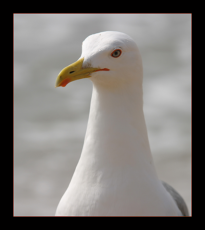 meins...! (ND)