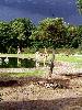 Giraffe_Burgers_Zoo