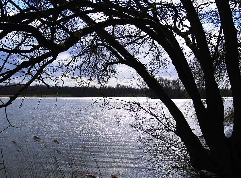 Morgenstimmung am See ND