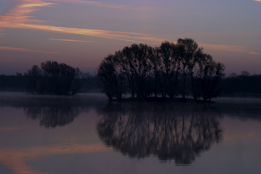 Vogelinsel