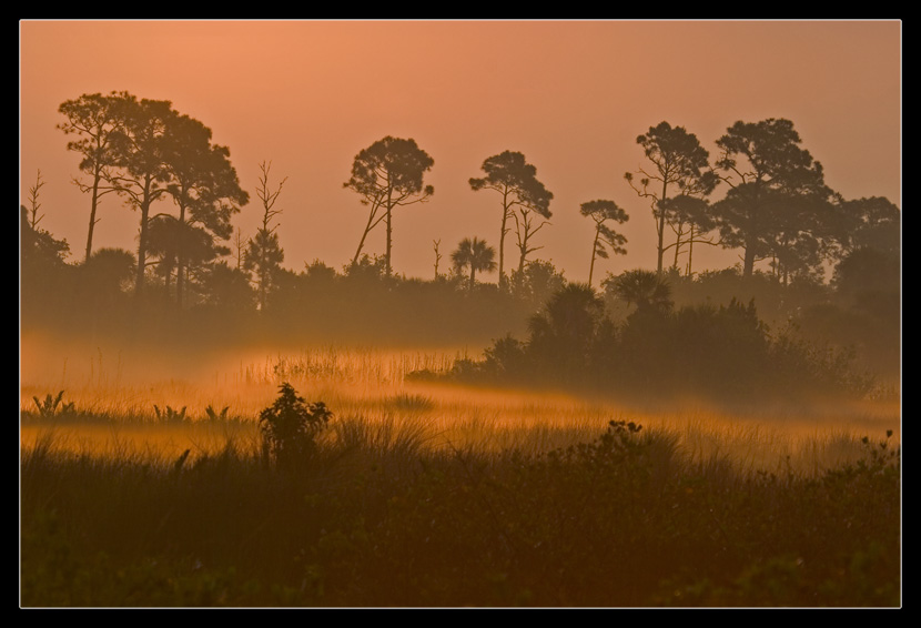 Morgennebel