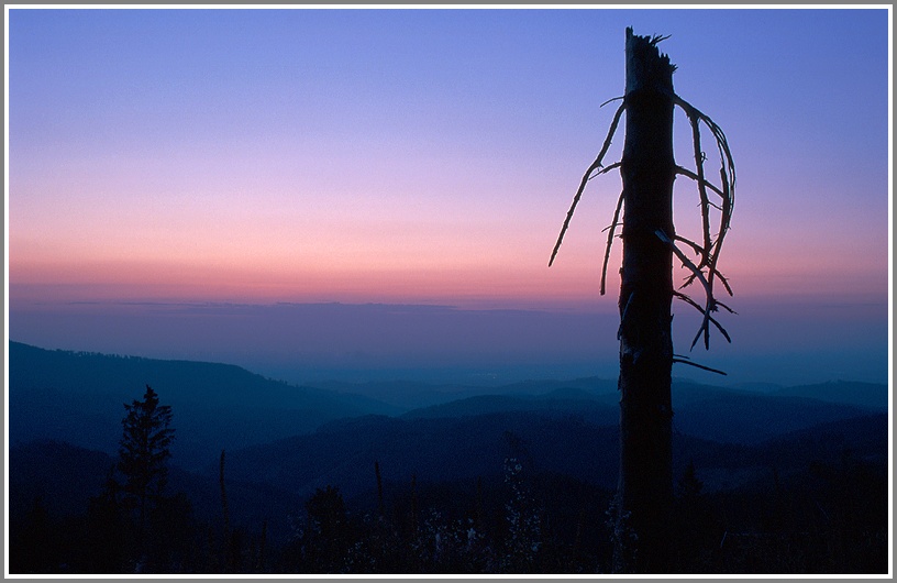 Blaue Stunde am Mooskopf, Baden Württemberg
