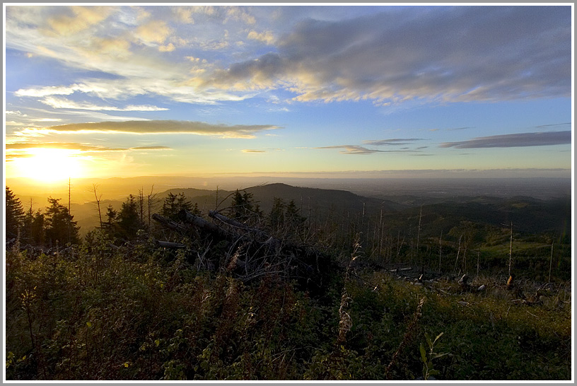 Abendlicher Blick vom Mooskopf, Baden Württemberg