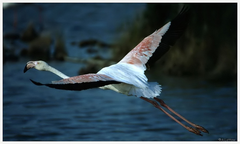 Abflug (ND)