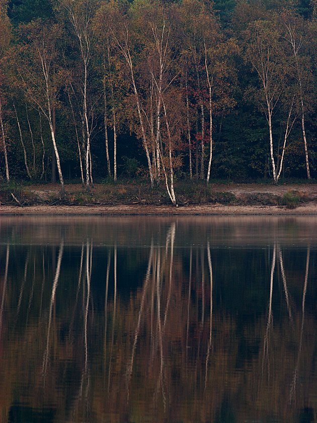 Herbst am Böllertsee [ND]