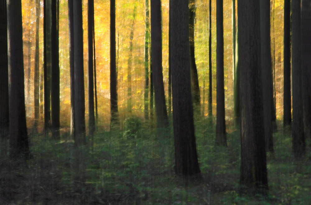 Herbst2006