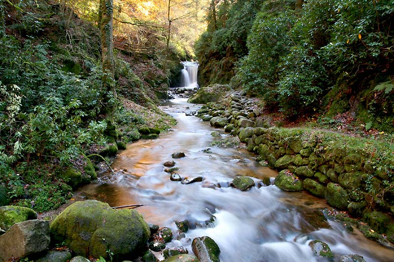 ND Wasserfall & Alpenrosen