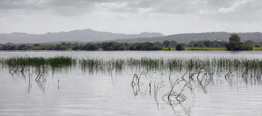 Niger