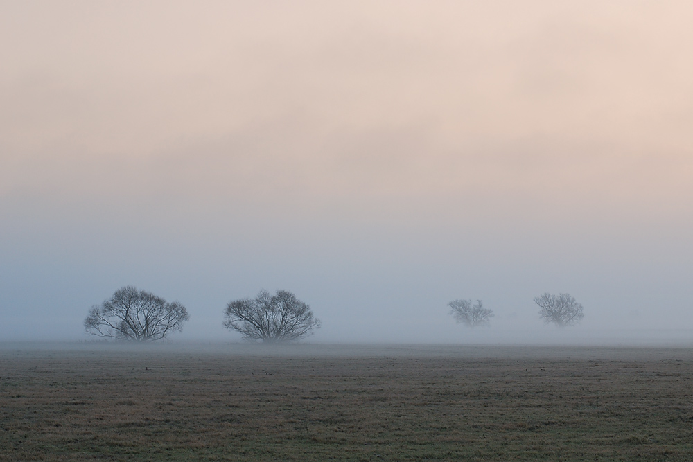 Dezembermorgen II