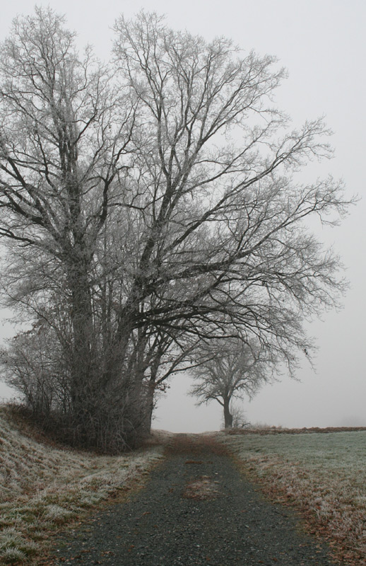 NOVEMBER