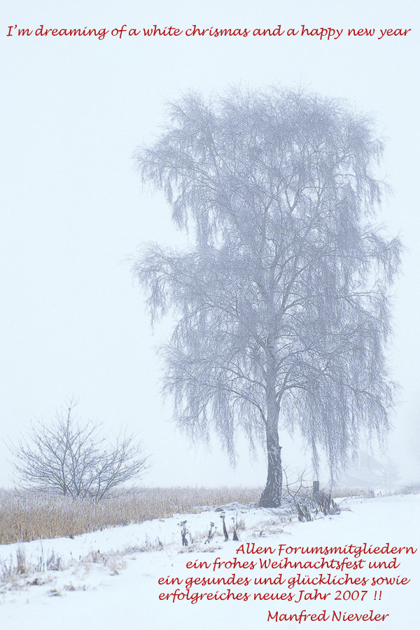 Weihnachtsgrüße EBV