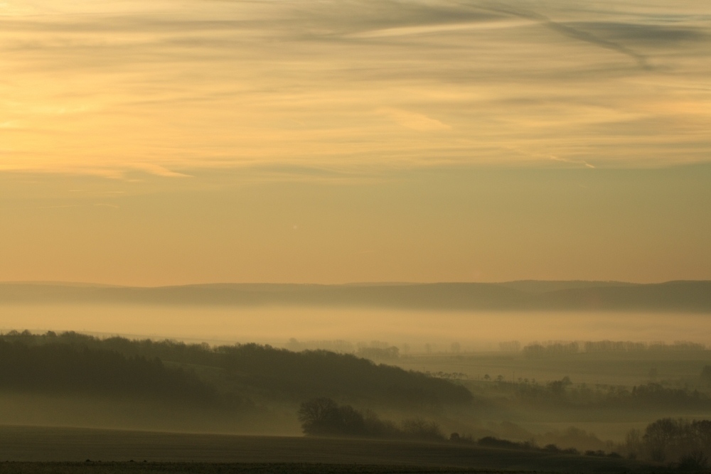 Sonnenaufgang in der goldenen Aue