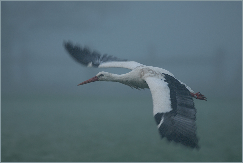 London Heathrow... dichter Nebel [ND]