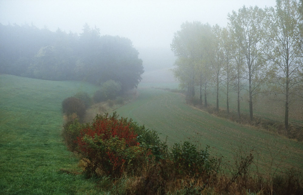 Herbst