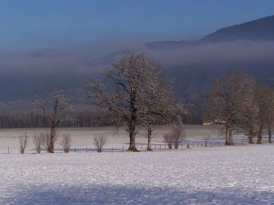 winterlandschaft