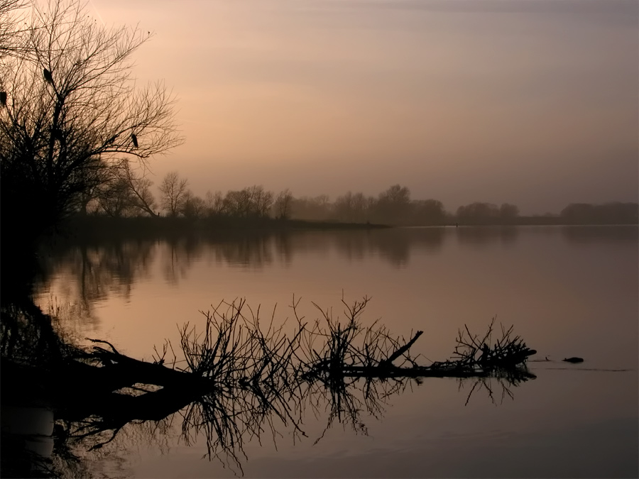 Abend an der Elbe - ND