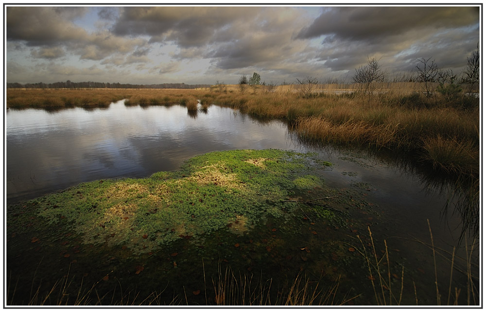 Sturm überm Moor