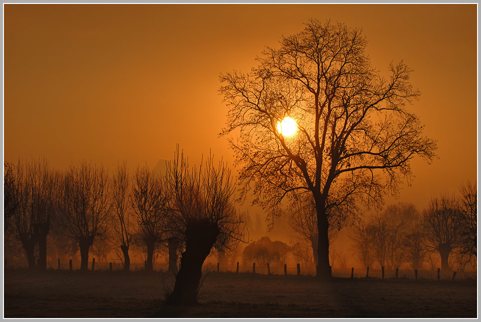 Morgenstimmung am Niederrhein