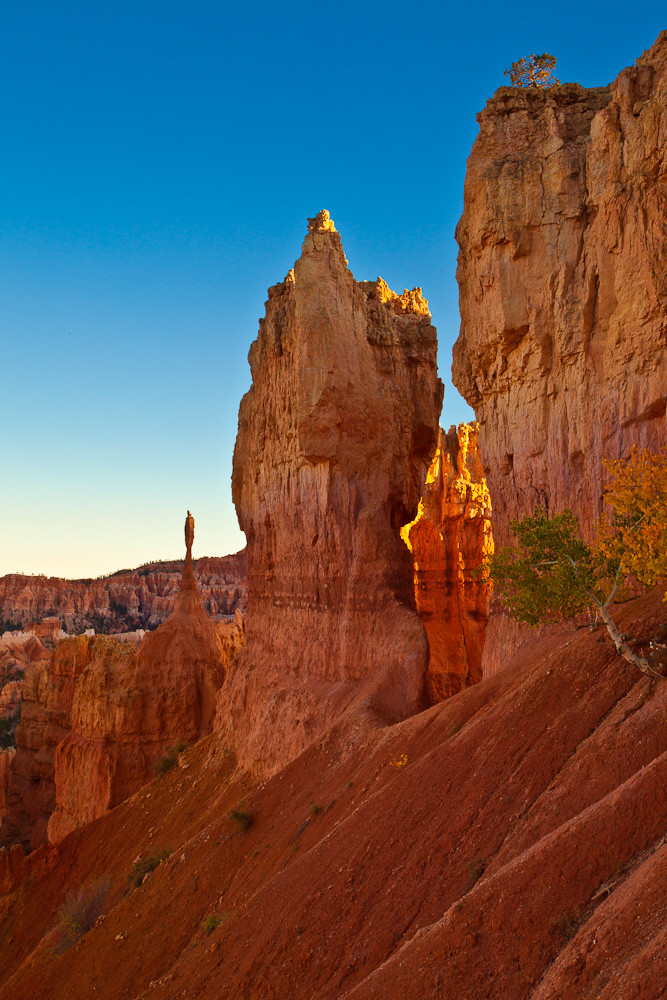 Abendstimmung im Bryce