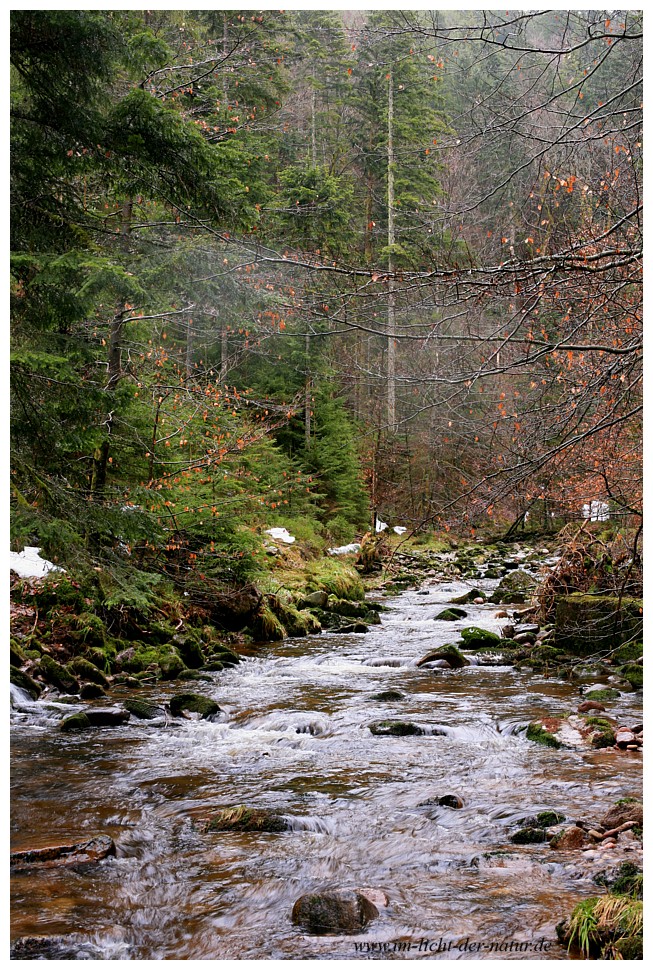Regentag im Schwarzwald