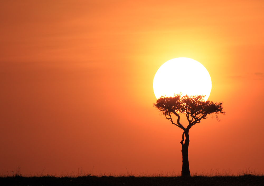 Sonnenuntergang in der Mara