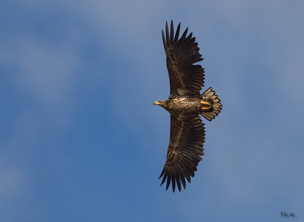 Vorbeiflug