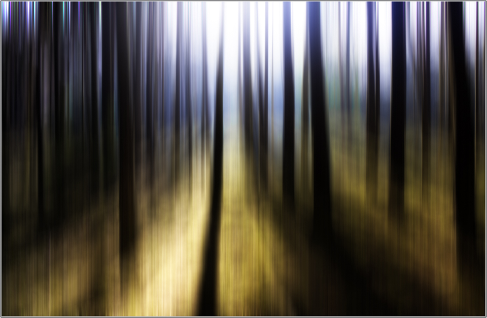 Narretei im Wald