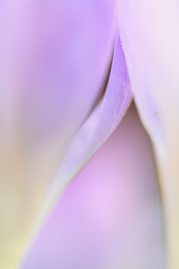 ~ The Inbetween ~