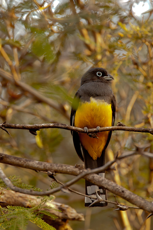 Costa Rica, ein Traumland für FotografInnen