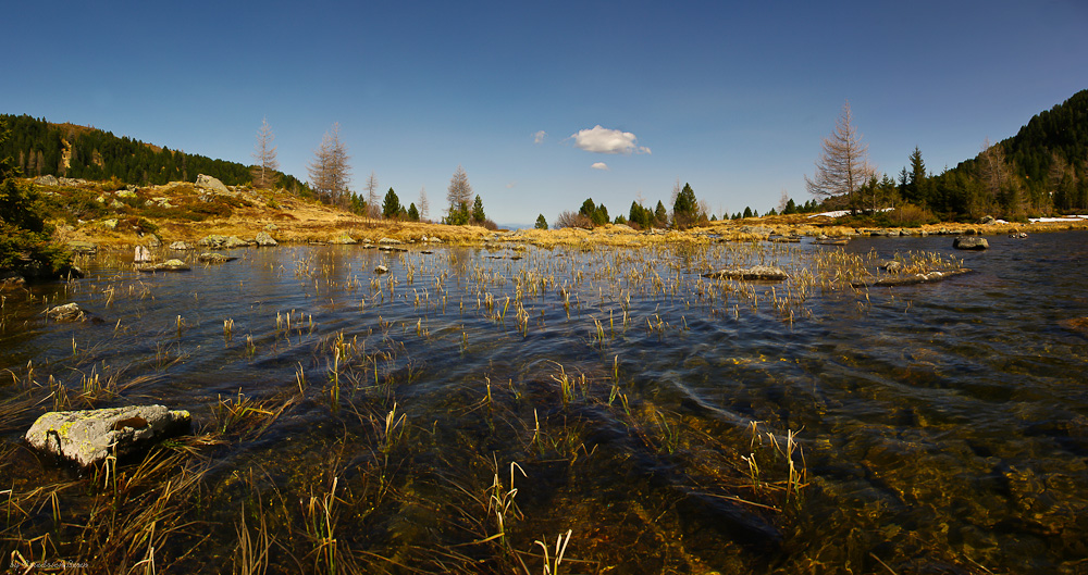 Schmeltzwasser