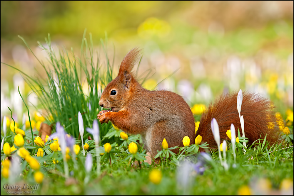 Frohe Ostern...